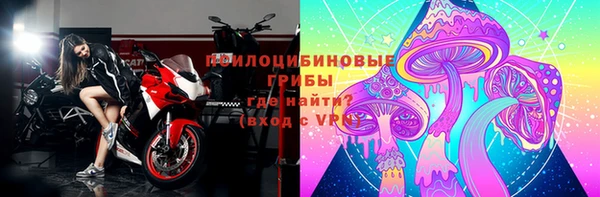 экстази Богданович